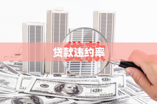 阜新贷款违约率