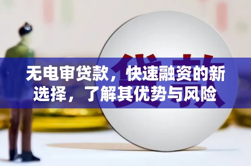 阜新无电审贷款，快速融资的新选择，了解其优势与风险