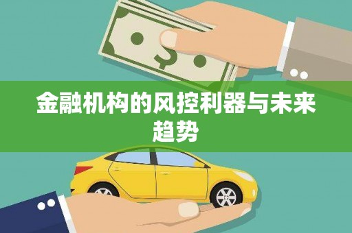 阜新金融机构的风控利器与未来趋势
