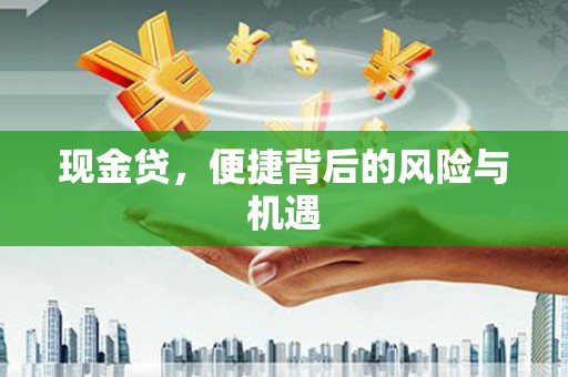阜新现金贷，便捷背后的风险与机遇