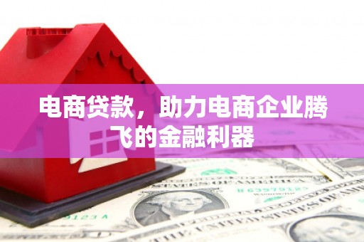 阜新电商贷款，助力电商企业腾飞的金融利器