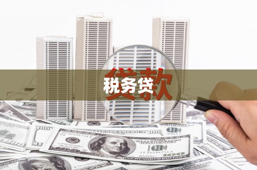 阜新税务贷