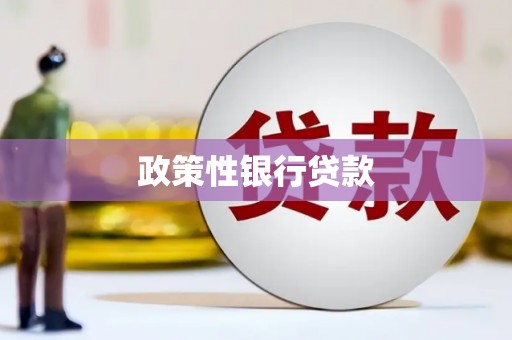 阜新政策性银行贷款