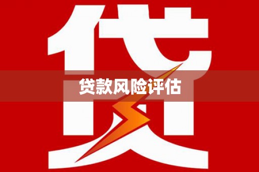 阜新贷款风险评估