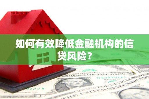 阜新如何有效降低金融机构的信贷风险？