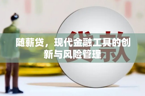 阜新随薪贷，现代金融工具的创新与风险管理