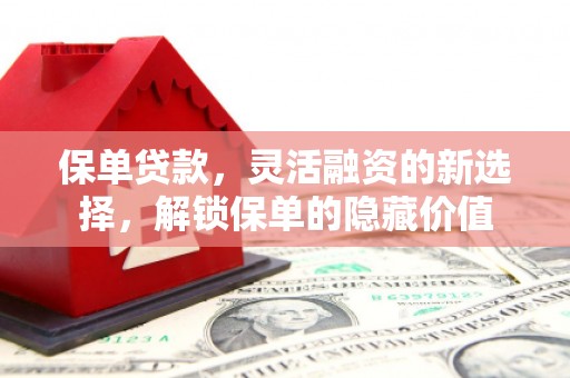 阜新保单贷款，灵活融资的新选择，解锁保单的隐藏价值