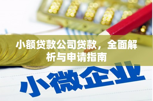 阜新小额贷款公司贷款，全面解析与申请指南