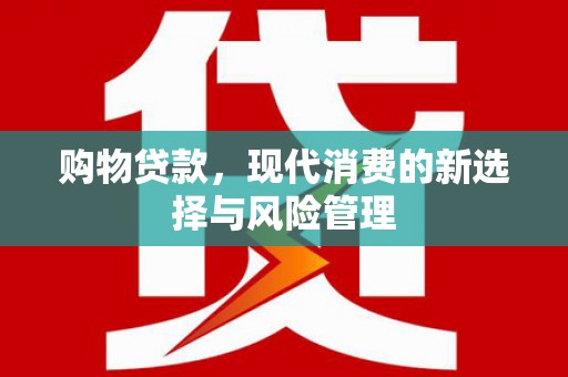 阜新购物贷款，现代消费的新选择与风险管理