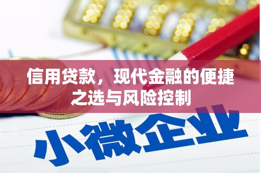 阜新信用贷款，现代金融的便捷之选与风险控制