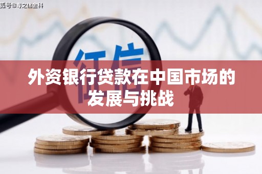 阜新外资银行贷款在中国市场的发展与挑战
