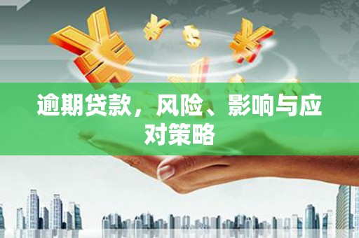 阜新逾期贷款，风险、影响与应对策略