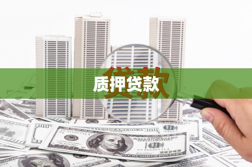 阜新质押贷款