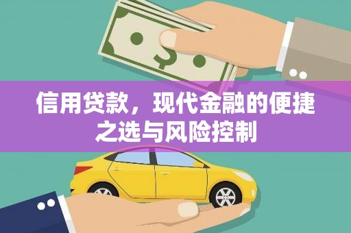 阜新信用贷款，现代金融的便捷之选与风险控制