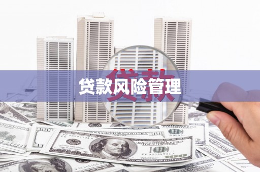 阜新贷款风险管理