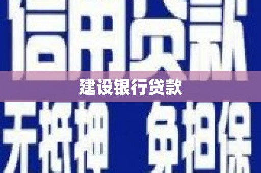 阜新建设银行贷款