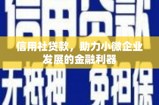 阜新信用社贷款，助力小微企业发展的金融利器
