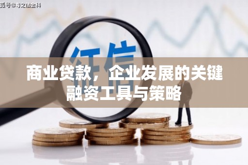 阜新商业贷款，企业发展的关键融资工具与策略