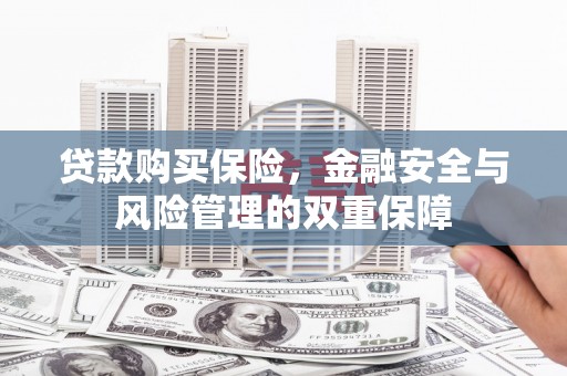 阜新贷款购买保险，金融安全与风险管理的双重保障