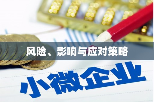 阜新风险、影响与应对策略