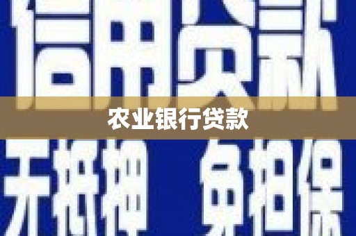 阜新农业银行贷款