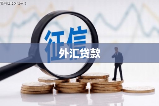 阜新外汇贷款