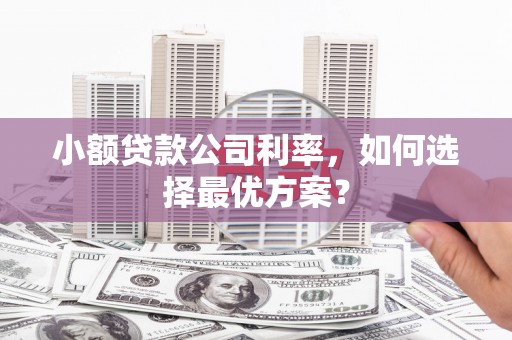 阜新小额贷款公司利率，如何选择最优方案？