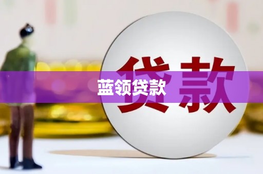 阜新蓝领贷款
