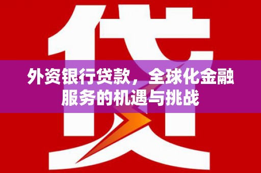 阜新外资银行贷款，全球化金融服务的机遇与挑战