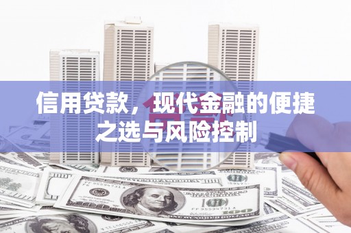 阜新信用贷款，现代金融的便捷之选与风险控制