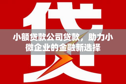 阜新小额贷款公司贷款，助力小微企业的金融新选择