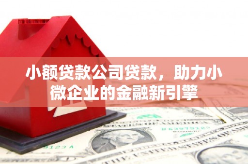 阜新小额贷款公司贷款，助力小微企业的金融新引擎
