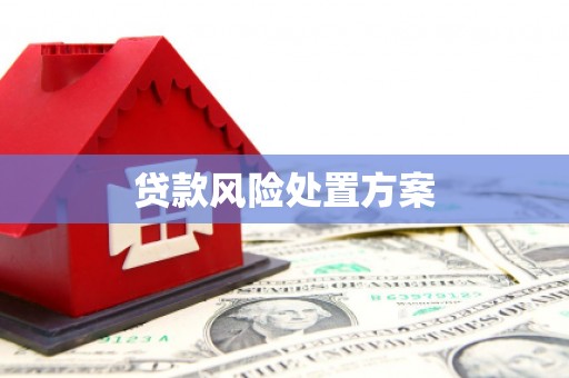 阜新贷款风险处置方案