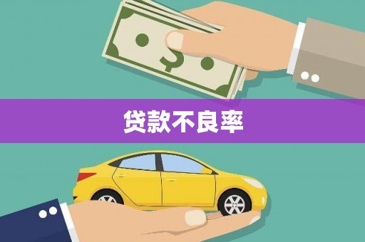 阜新贷款不良率