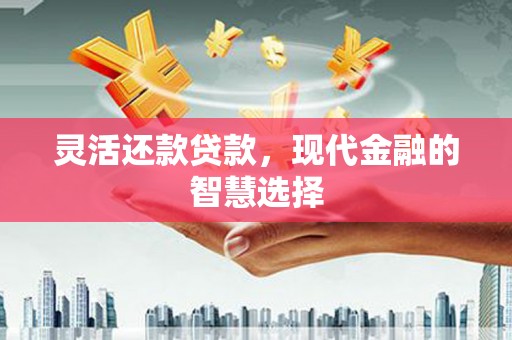 阜新灵活还款贷款，现代金融的智慧选择