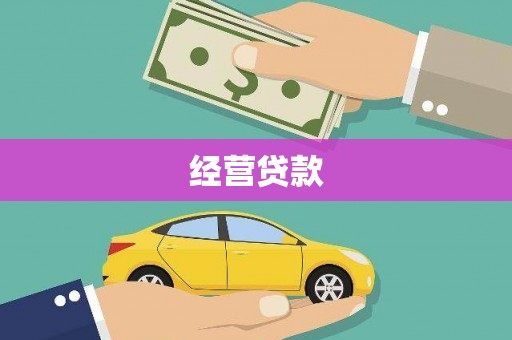 阜新经营贷款
