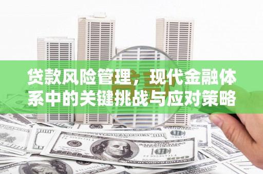 阜新贷款风险管理，现代金融体系中的关键挑战与应对策略