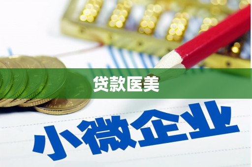 阜新贷款医美