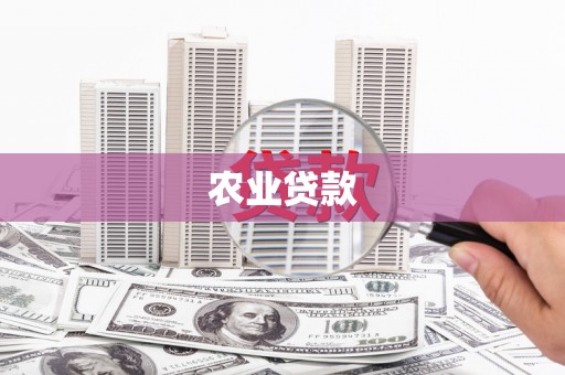 阜新农业贷款