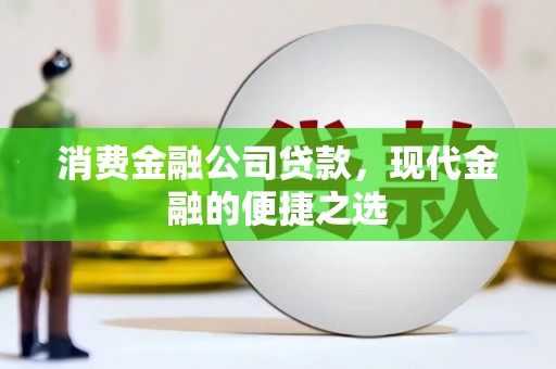 阜新消费金融公司贷款，现代金融的便捷之选