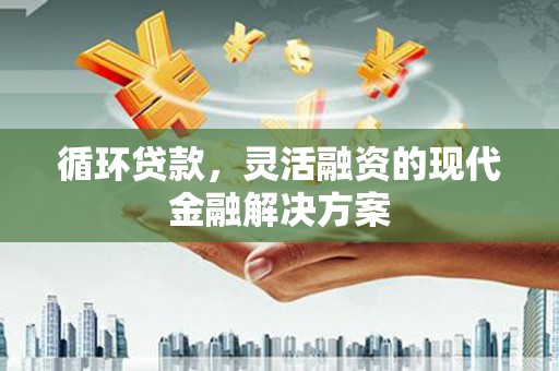 阜新循环贷款，灵活融资的现代金融解决方案