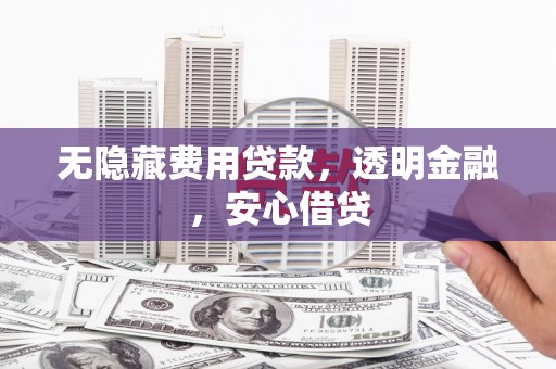 阜新无隐藏费用贷款，透明金融，安心借贷