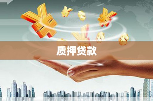 阜新质押贷款