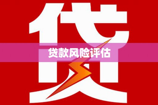 阜新贷款风险评估