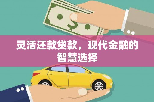 阜新灵活还款贷款，现代金融的智慧选择