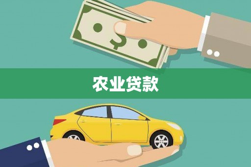 阜新农业贷款