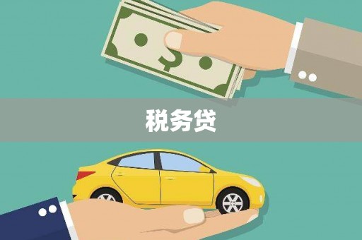 阜新税务贷
