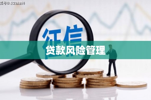 阜新贷款风险管理