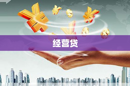 阜新经营贷