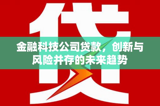 阜新金融科技公司贷款，创新与风险并存的未来趋势